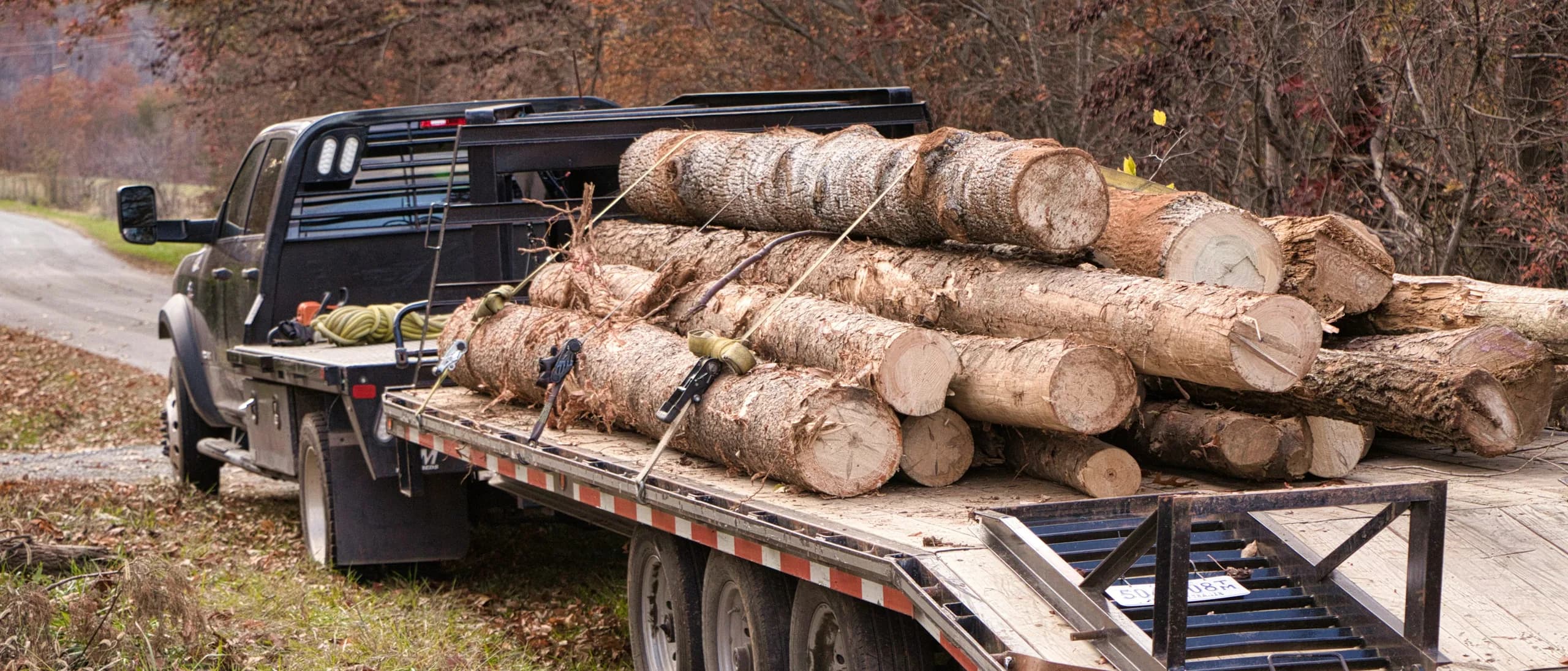 CDL Driver — tree care professionals at work
