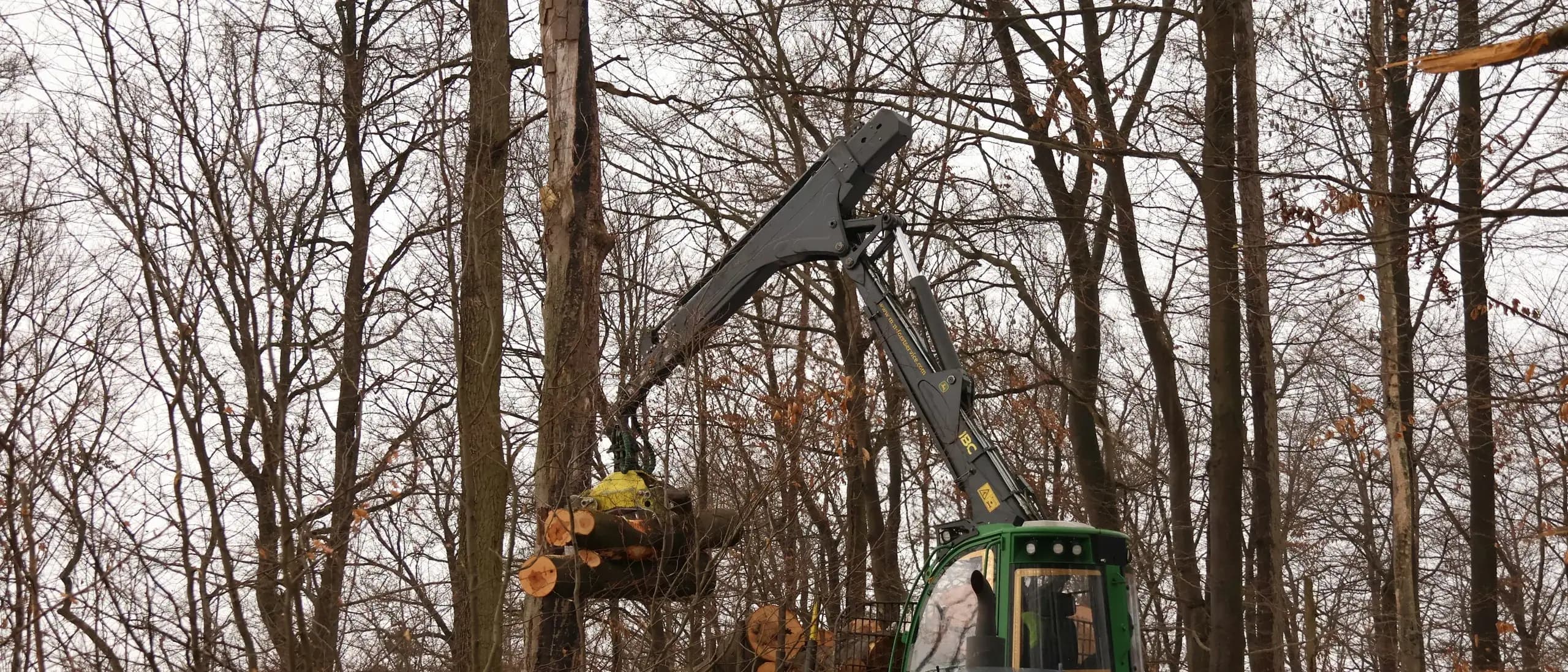 Grapple Truck with Operator — tree care professionals at work
