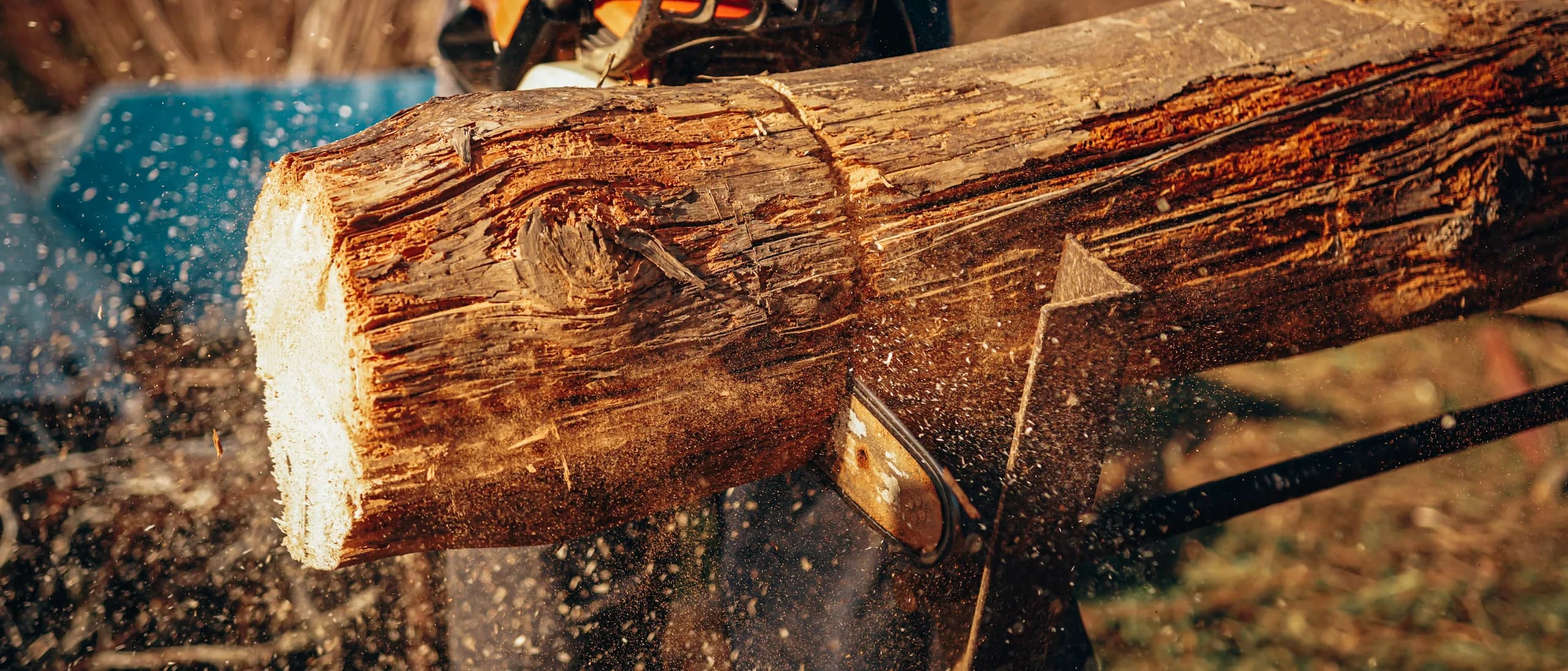 Ground Support — tree care professionals at work