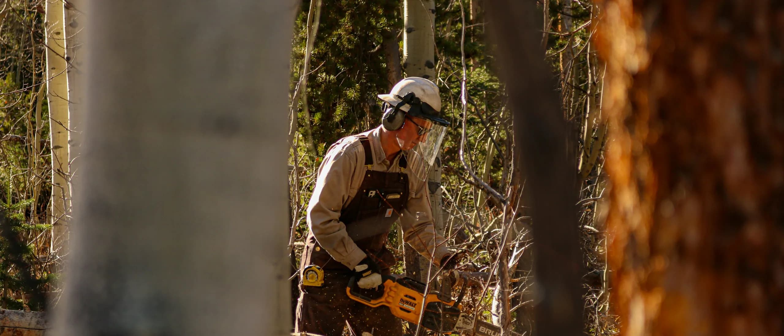 Storm Response Crews — tree care professionals at work
