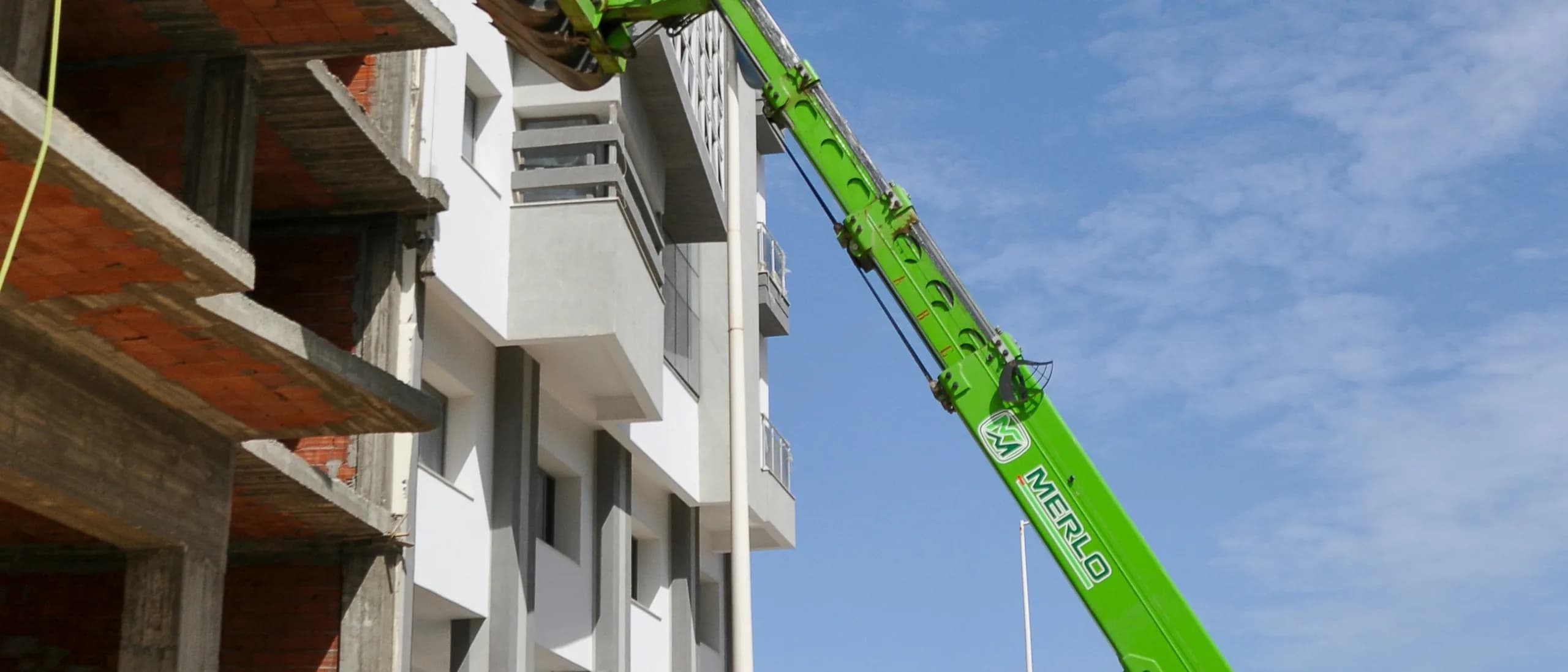 Tree Handler with Operator — tree care professionals at work
