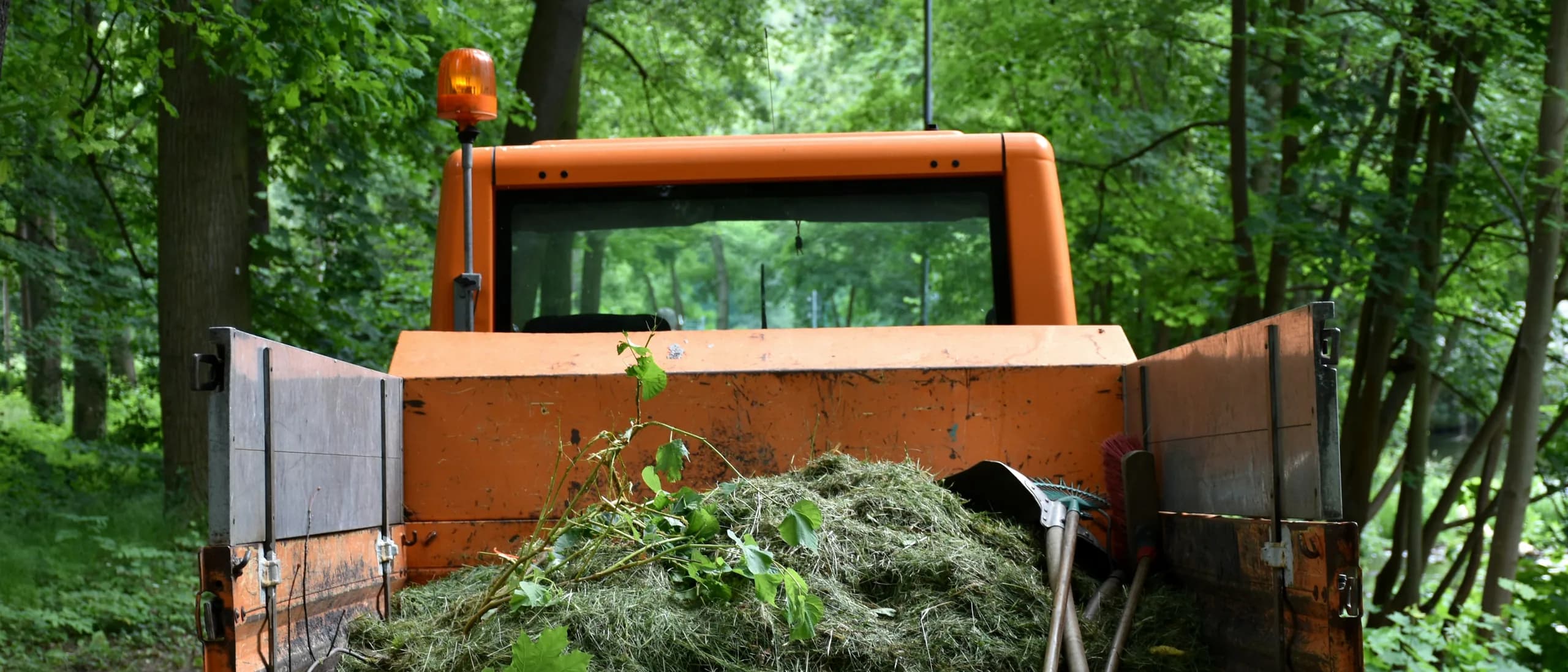 Wood and Debris Hauling — tree care professionals at work
