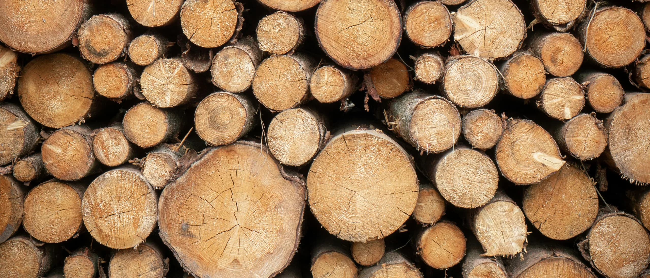 Wood Dump Site — tree care professionals at work