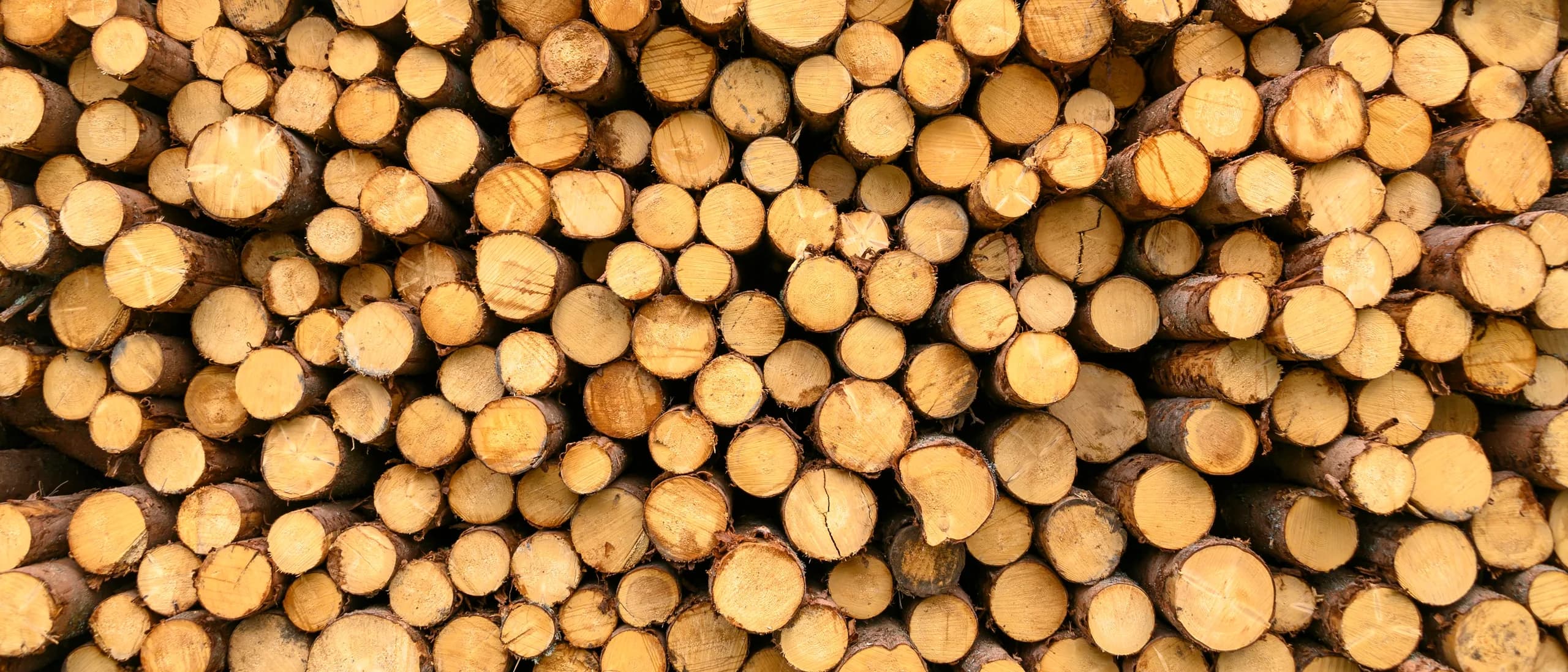 Wood Processing / Log Milling — tree care professionals at work