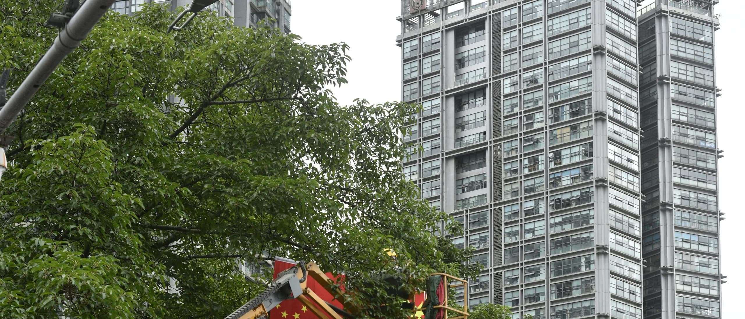 Bucket Truck with Operator — tree care professionals at work