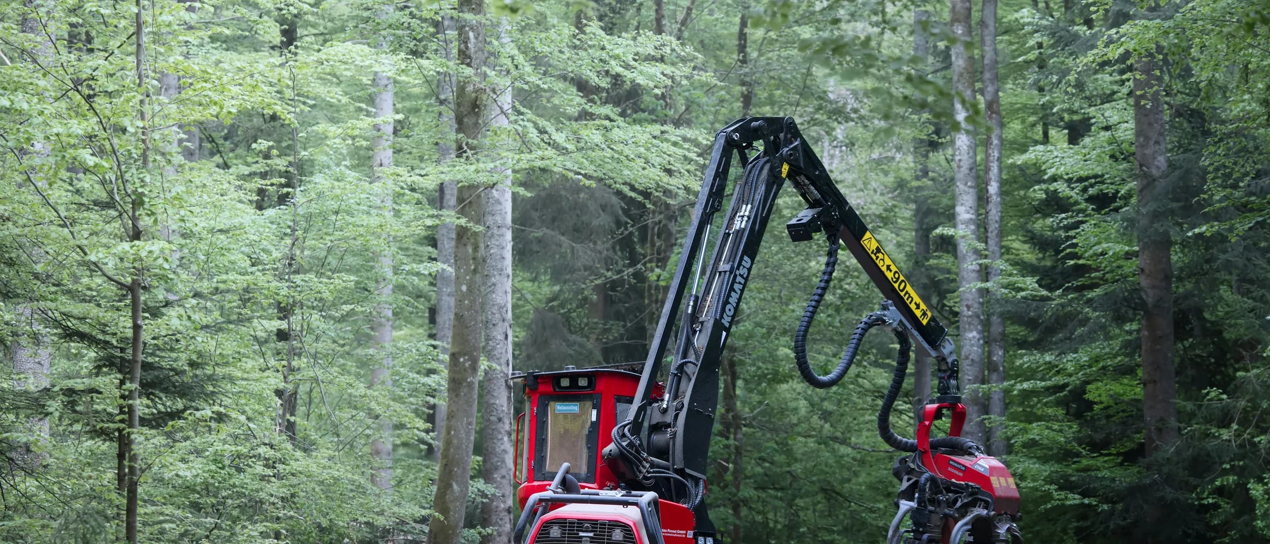Operator for Company-Provided Equipment — tree care professionals at work