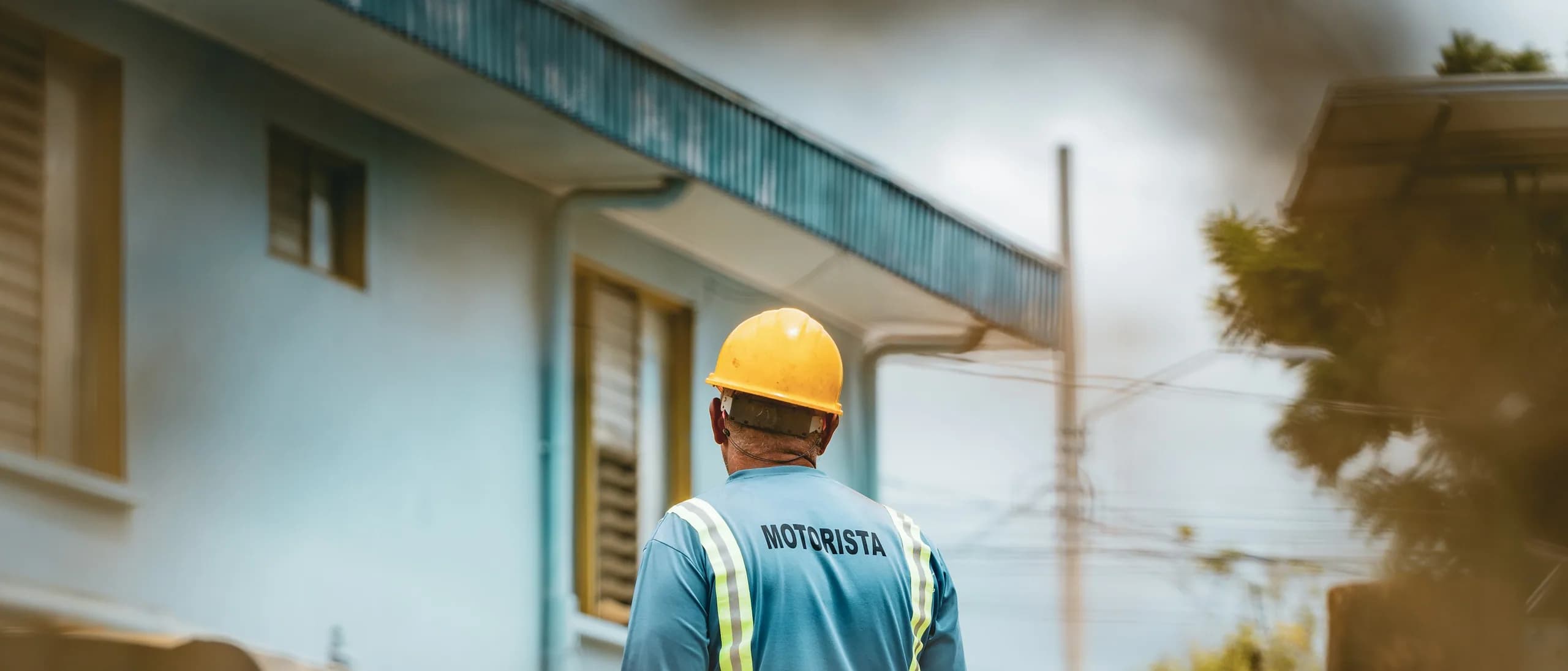 Sales and Estimating Arborist — tree care professionals at work