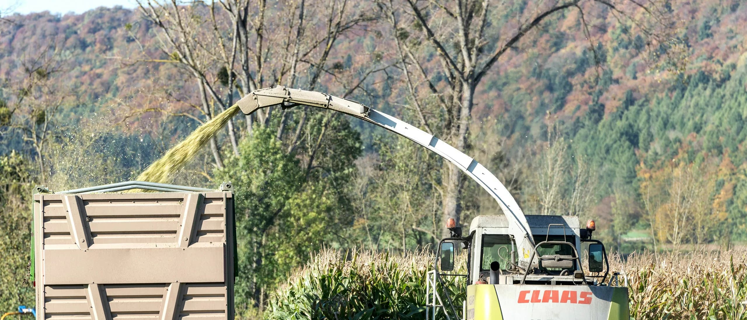 Tub Grinder with Operator — tree care professionals at work