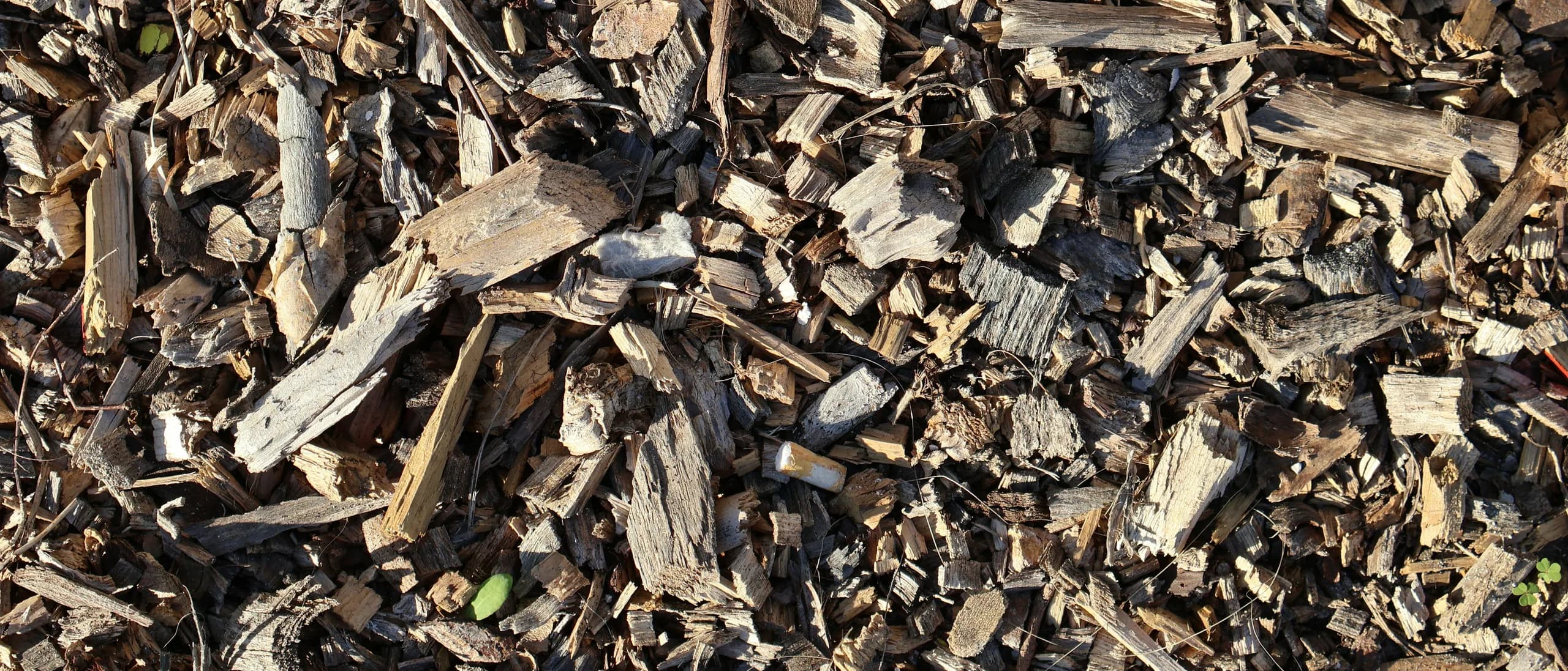 Wood-Chip Dump Site — tree care professionals at work