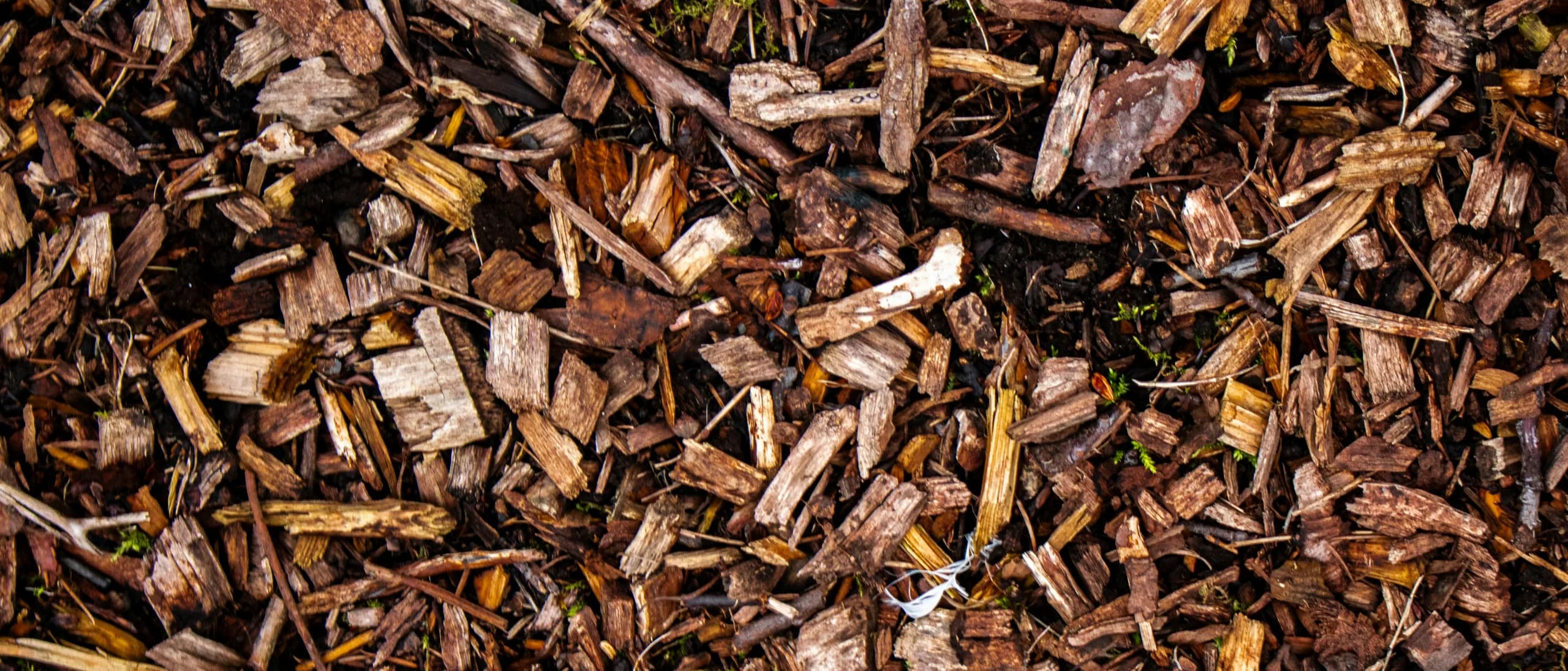 Wood Chipper with Operator — tree care professionals at work